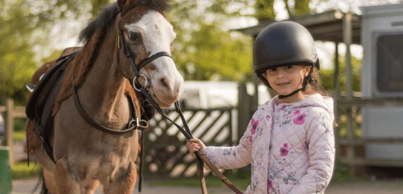 A little girl with a pony