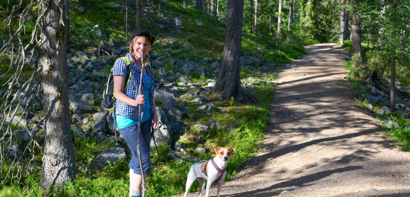 Bootlegger Trail