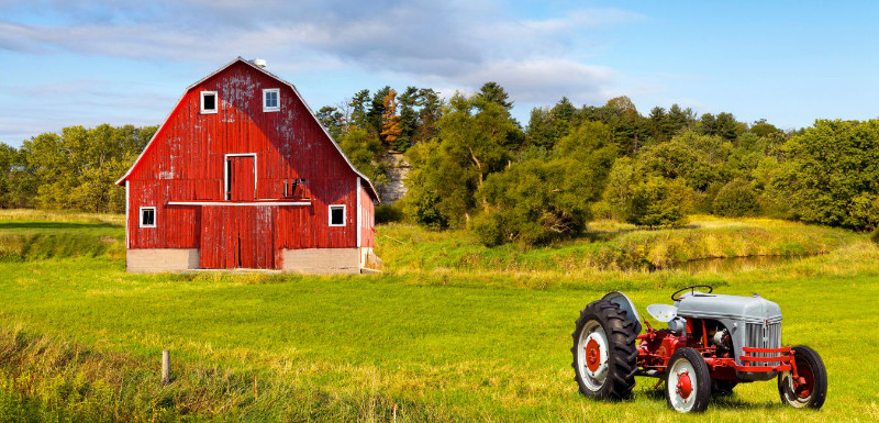 Frying Pan Farm Park