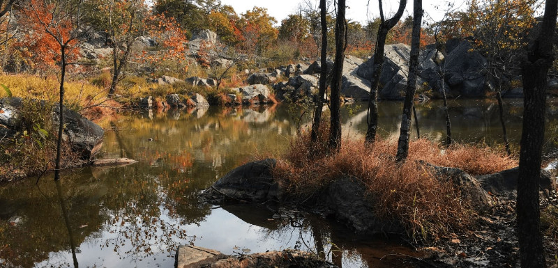 Seneca Park